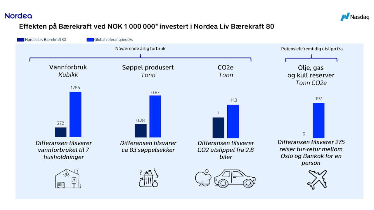 effekt-invest-nlb80